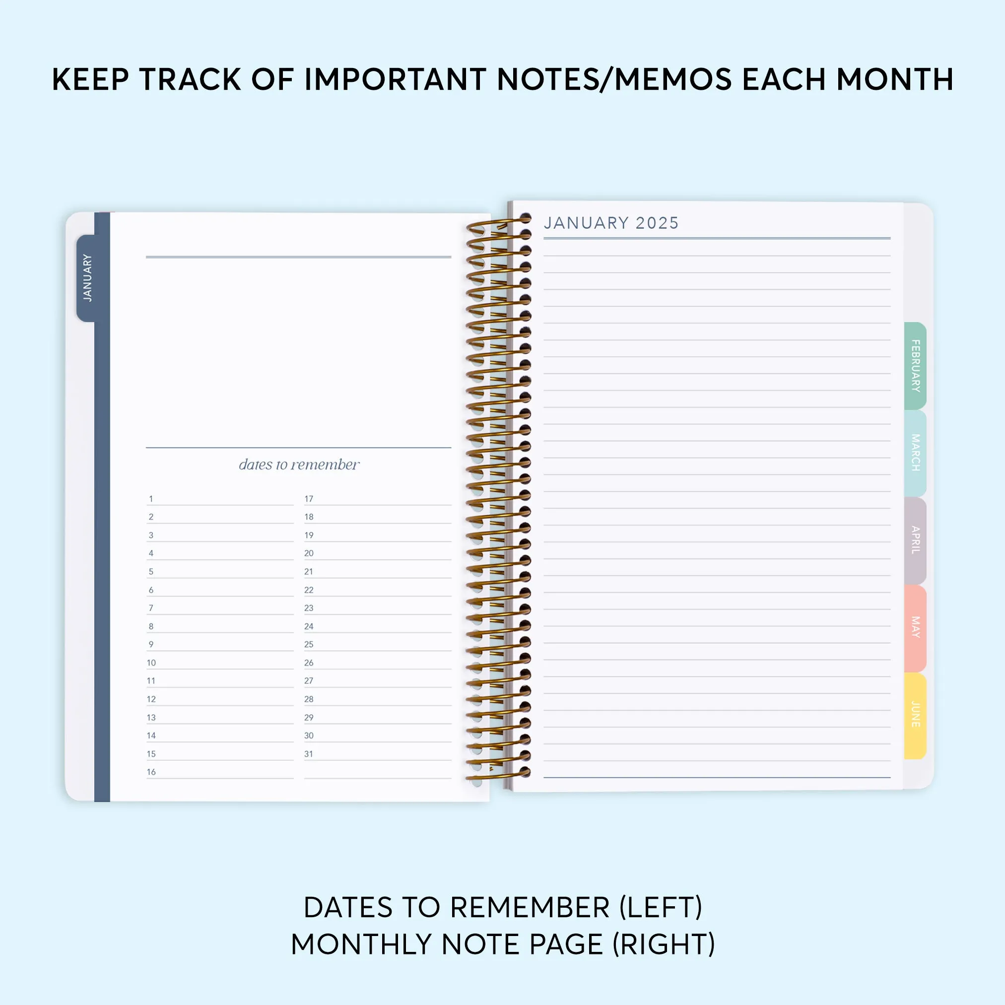6x9 Daily Planner - Flirty Florals Colorful