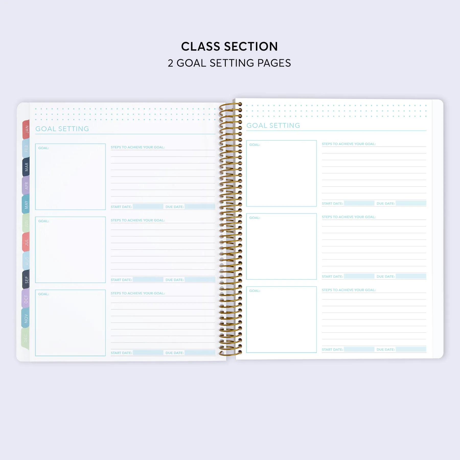 8.5x11 Student Planner - Flirty Florals Mauve
