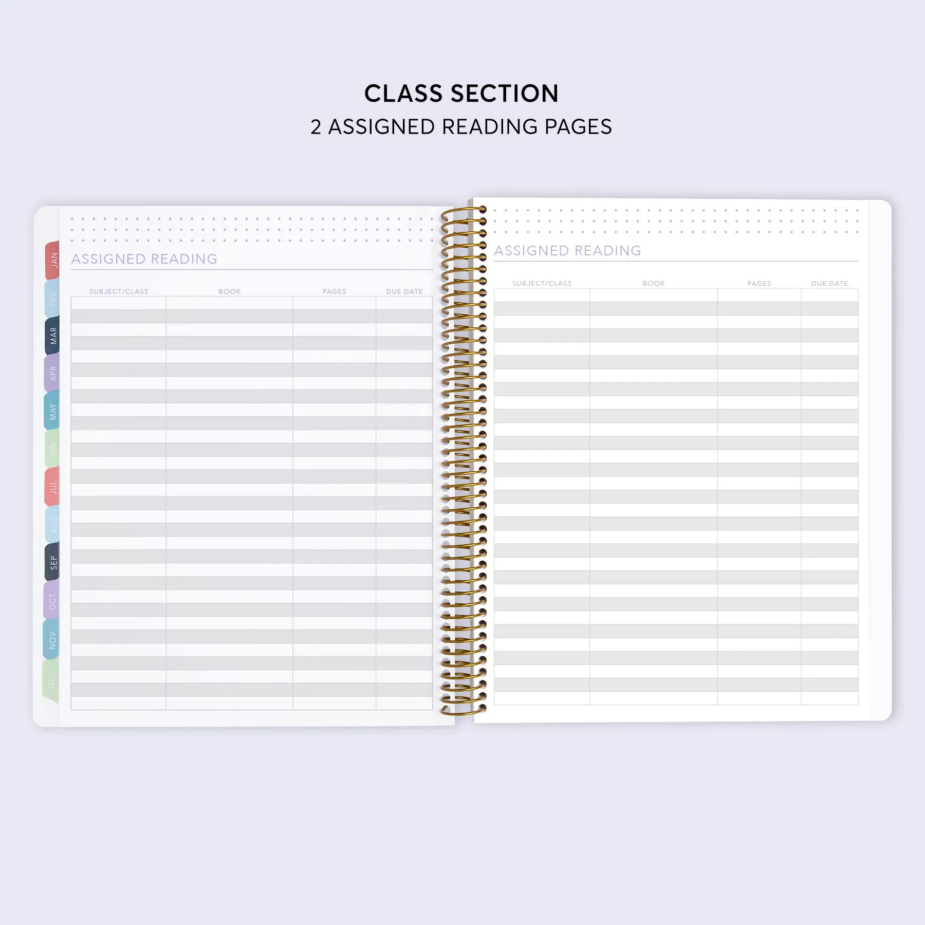 8.5x11 Student Planner - Flirty Florals Mauve