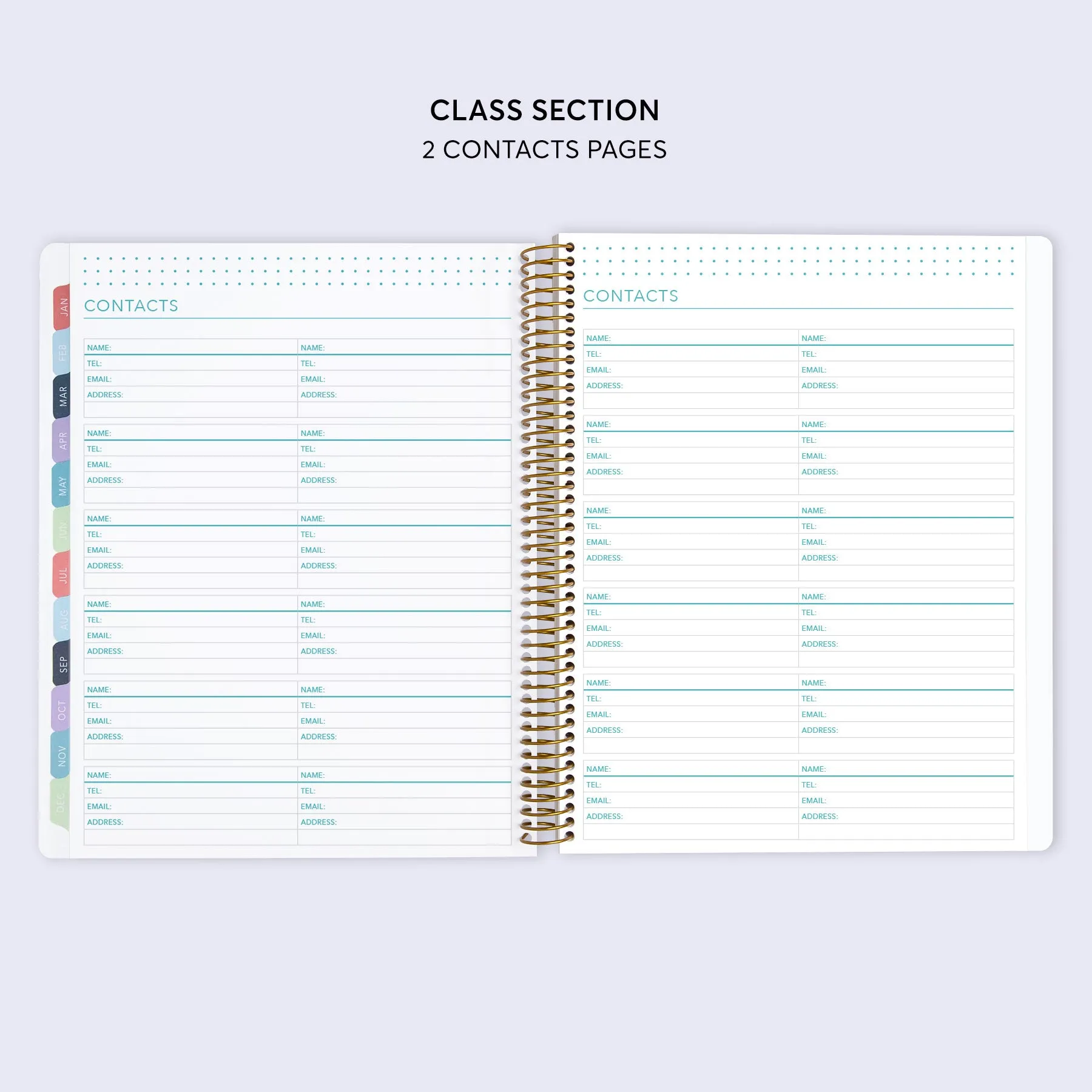 8.5x11 Student Planner - Flirty Florals Mauve