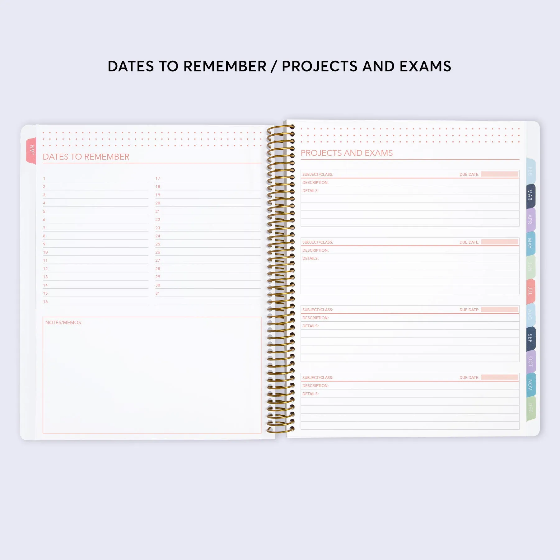 8.5x11 Student Planner - Flirty Florals Mauve