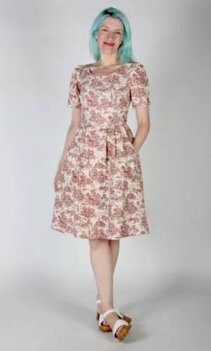 Birds of North America Winter Chippy Dress - Brick Village Toile (Online Exclusive)