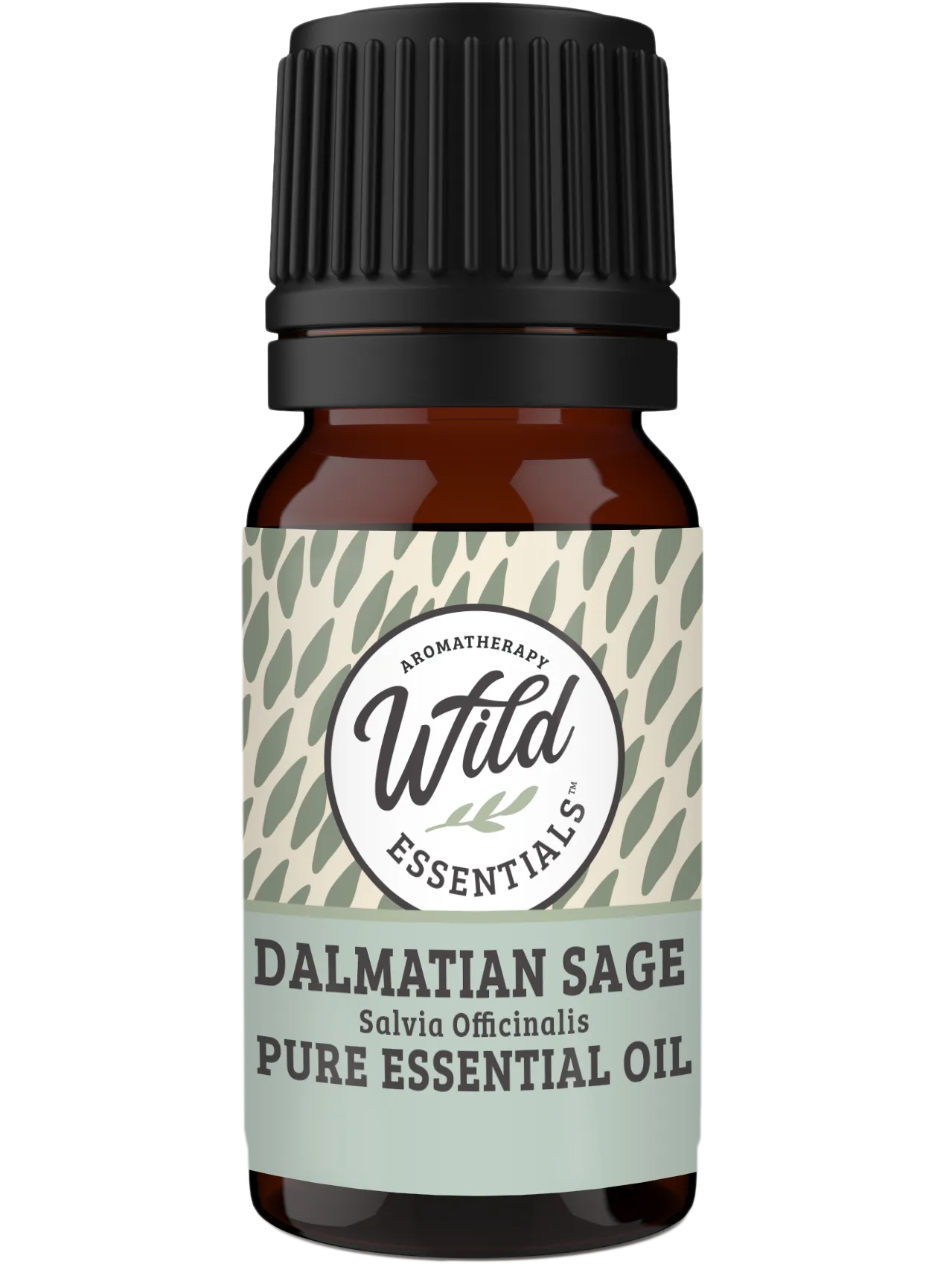 Essential Oils (Single Note) DALMATIAN SAGE