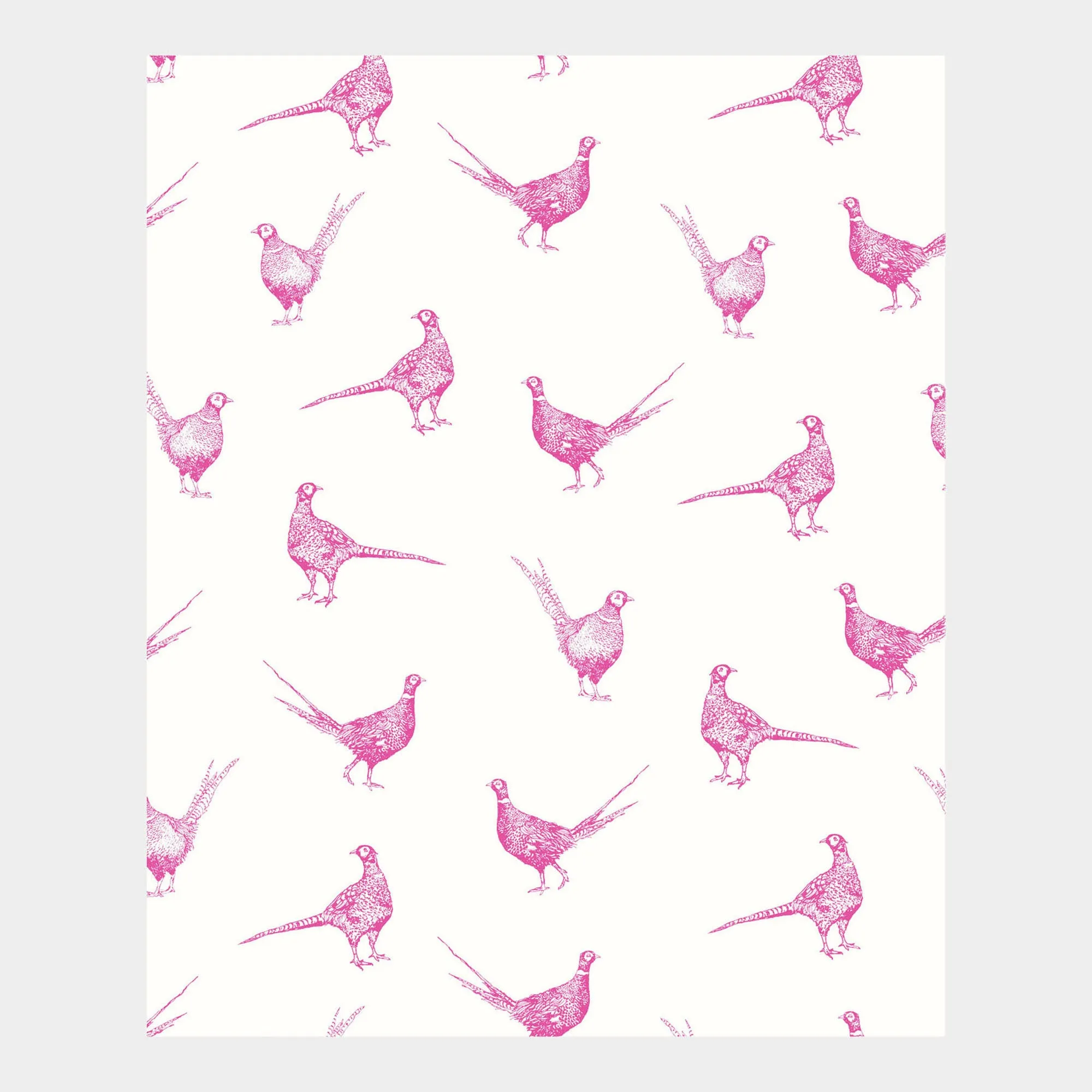 Flirty Pheasants Wallpaper
