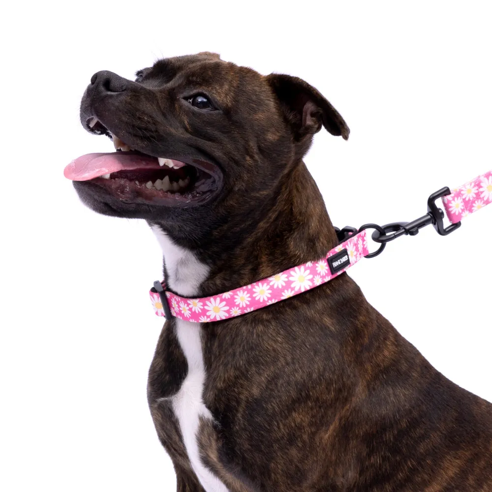 Frank Barker Pink Daisies Collar M