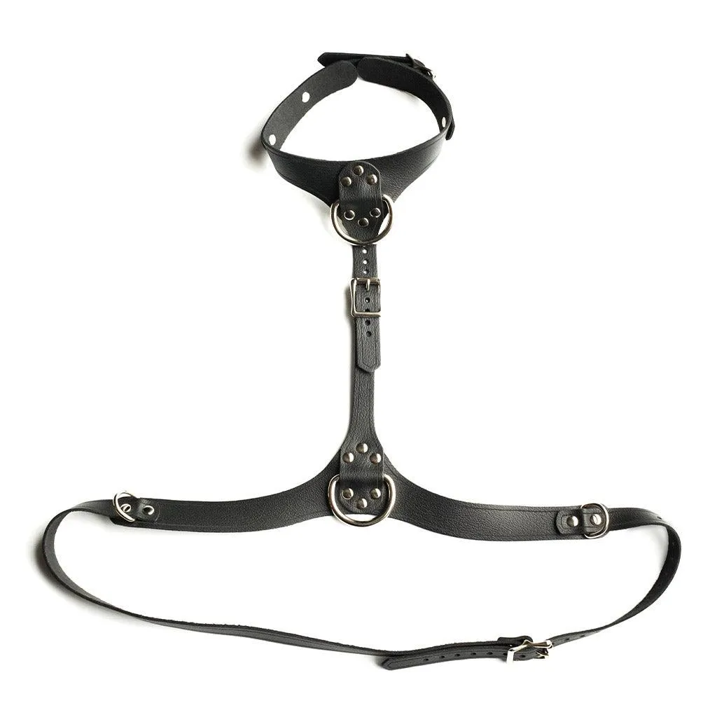 Full Curves Leather Bust Harness