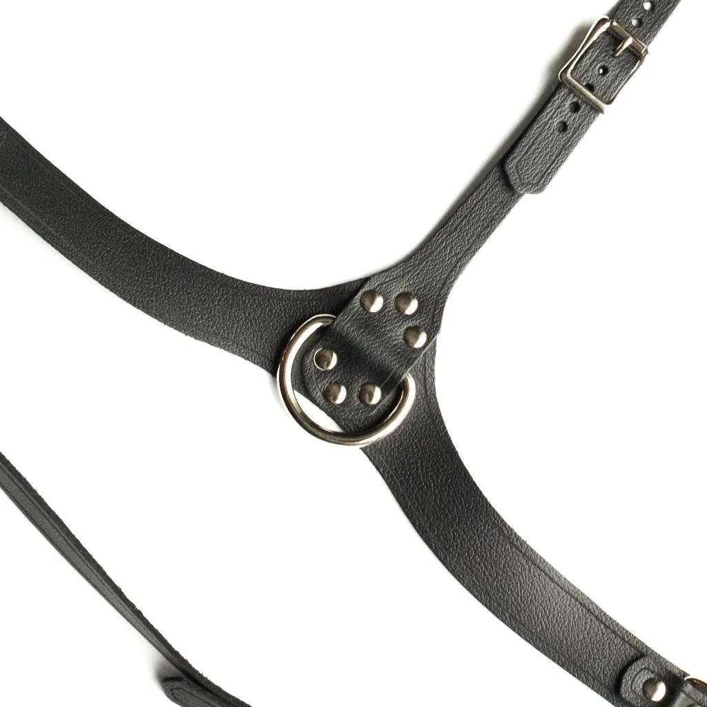 Full Curves Leather Bust Harness