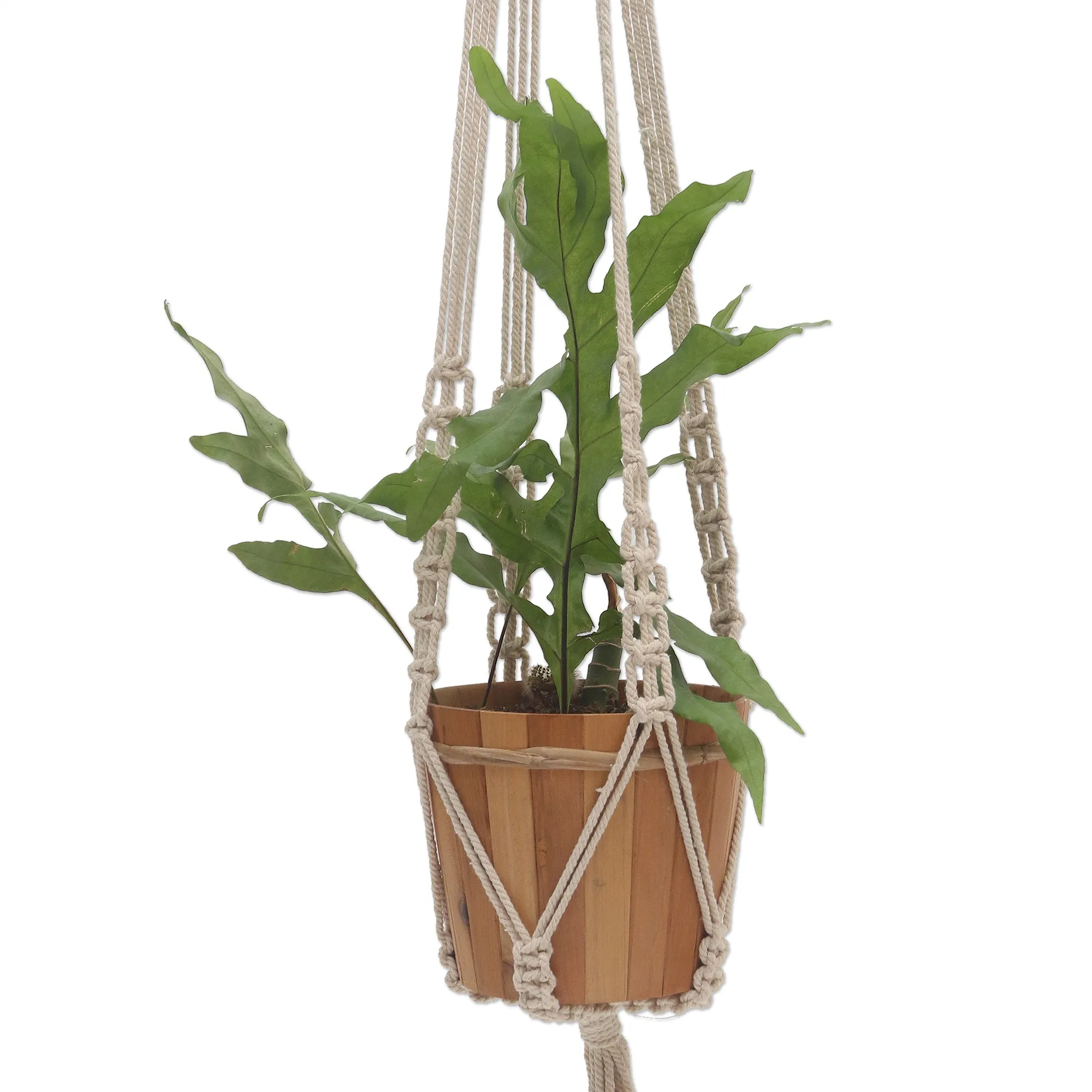 Hand-Knotted White Cotton Macrame Hanger from Bali - Pure Home | NOVICA