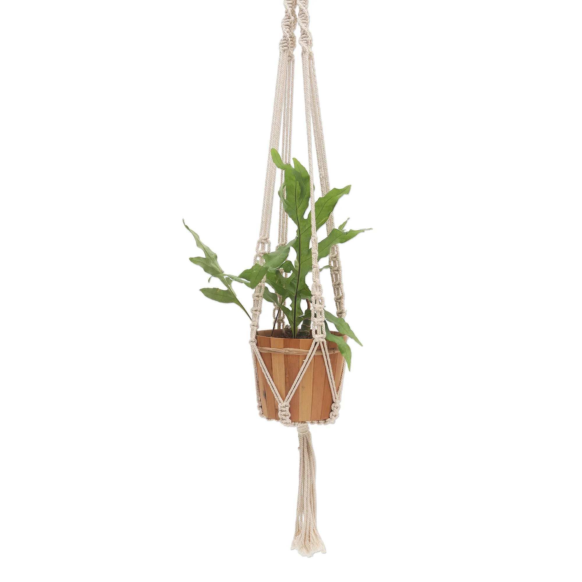 Hand-Knotted White Cotton Macrame Hanger from Bali - Pure Home | NOVICA