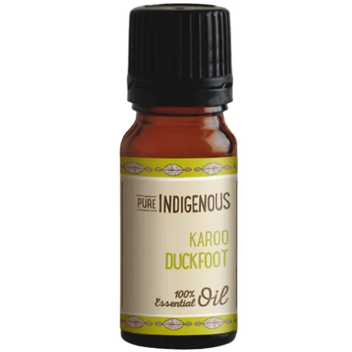 Karoo Duckfoot Essential Oil | Pure Indigenous