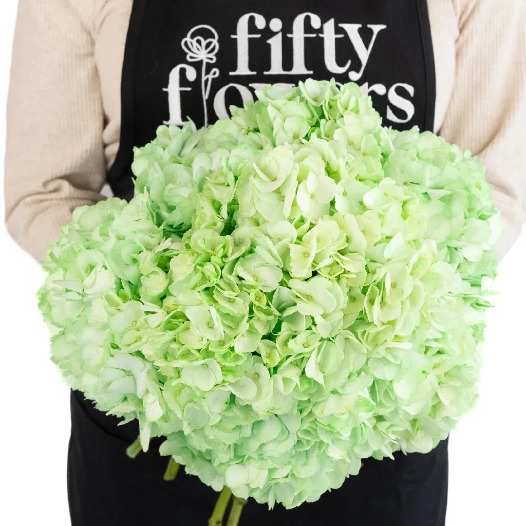 Mint Green Enhanced Hydrangea Flower