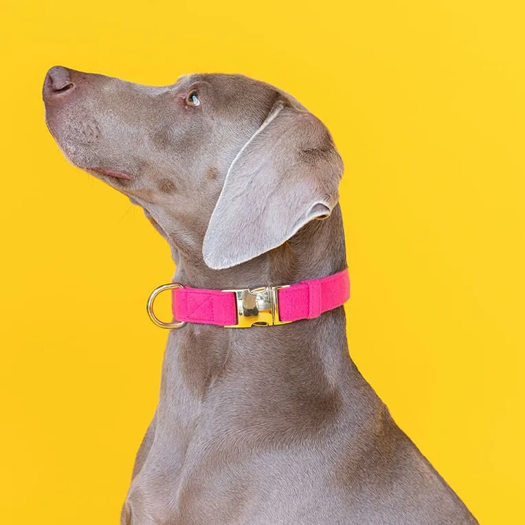 Pink Papyrus Antoinette Collar, Pink