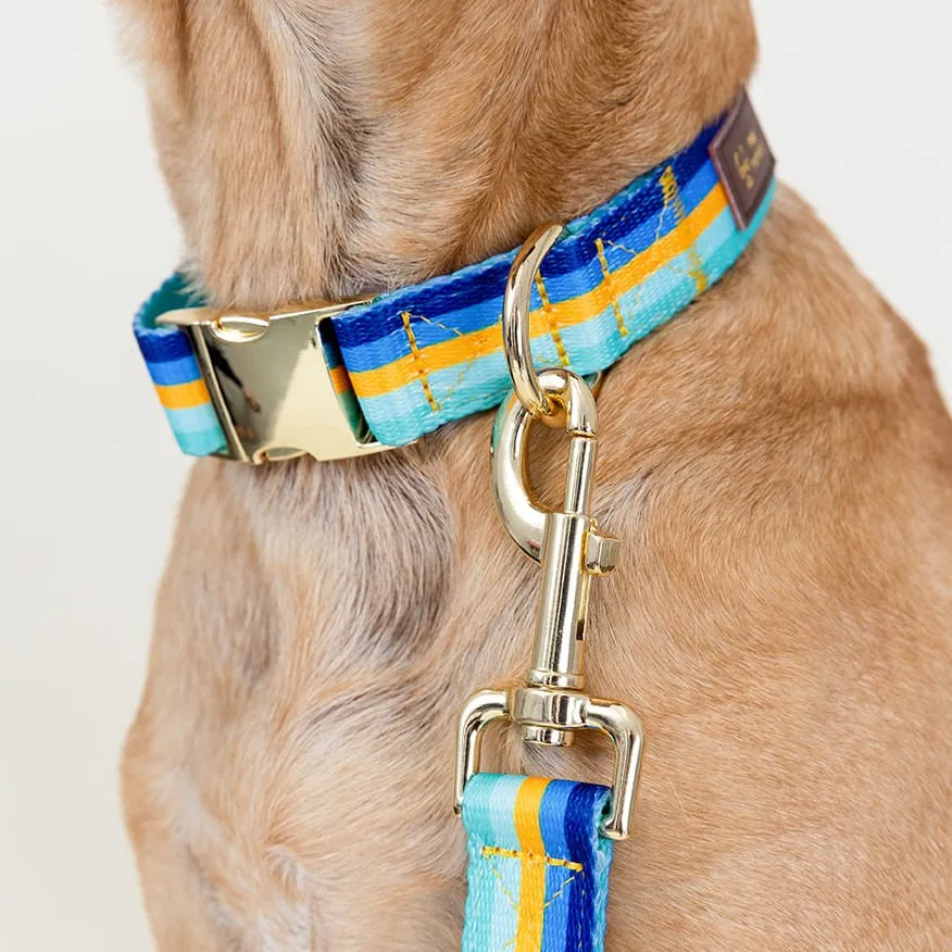 Pink Papyrus Milo Collar, Stripes