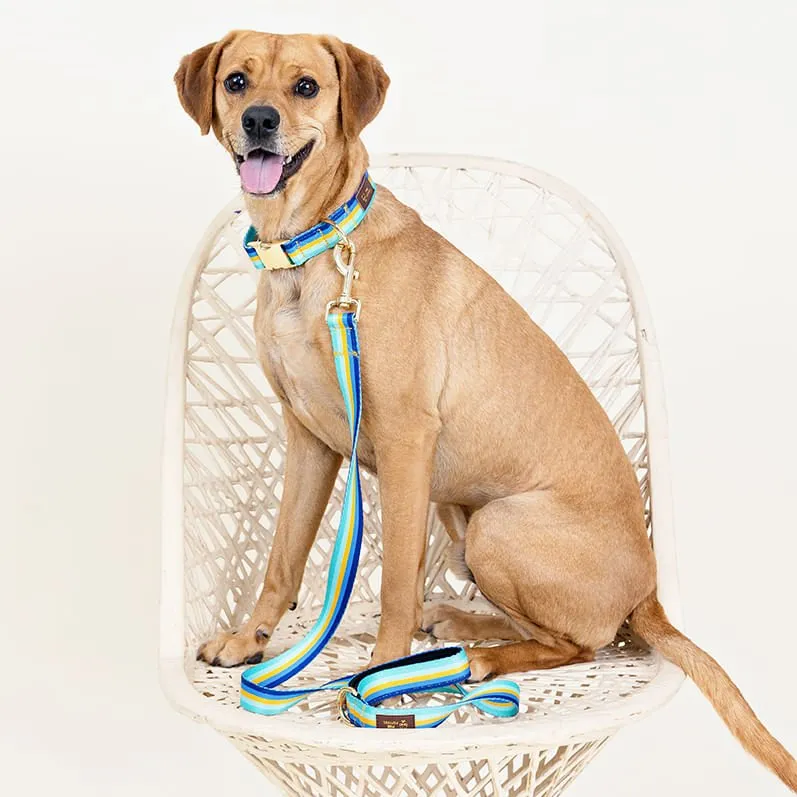 Pink Papyrus Milo Collar, Stripes