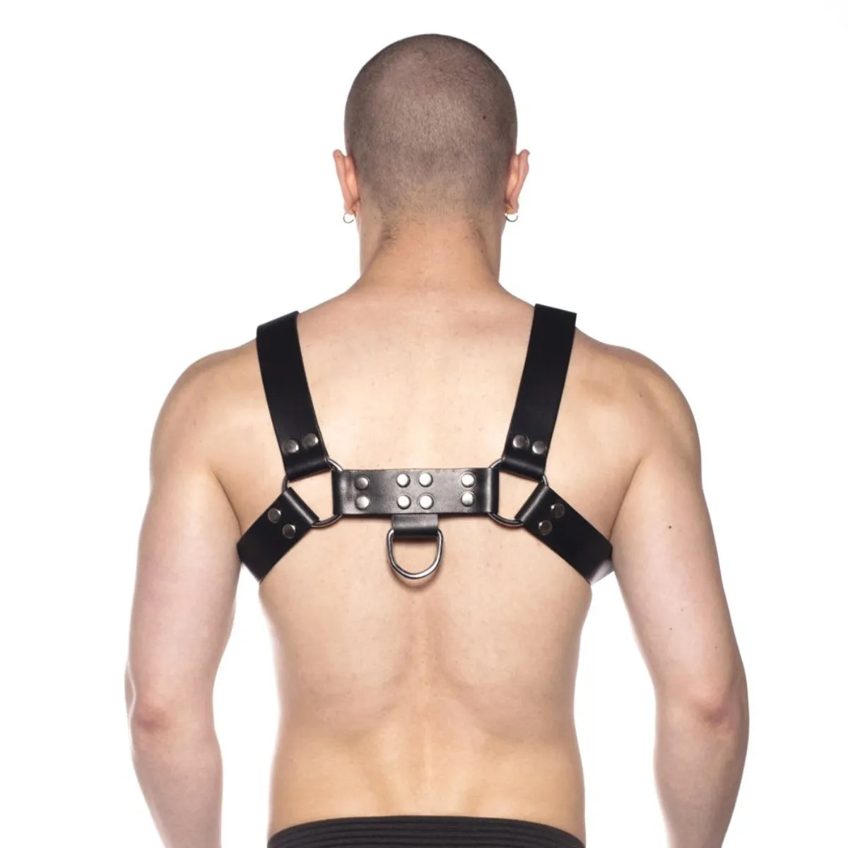 Prowler RED Leather Butch Harness Black