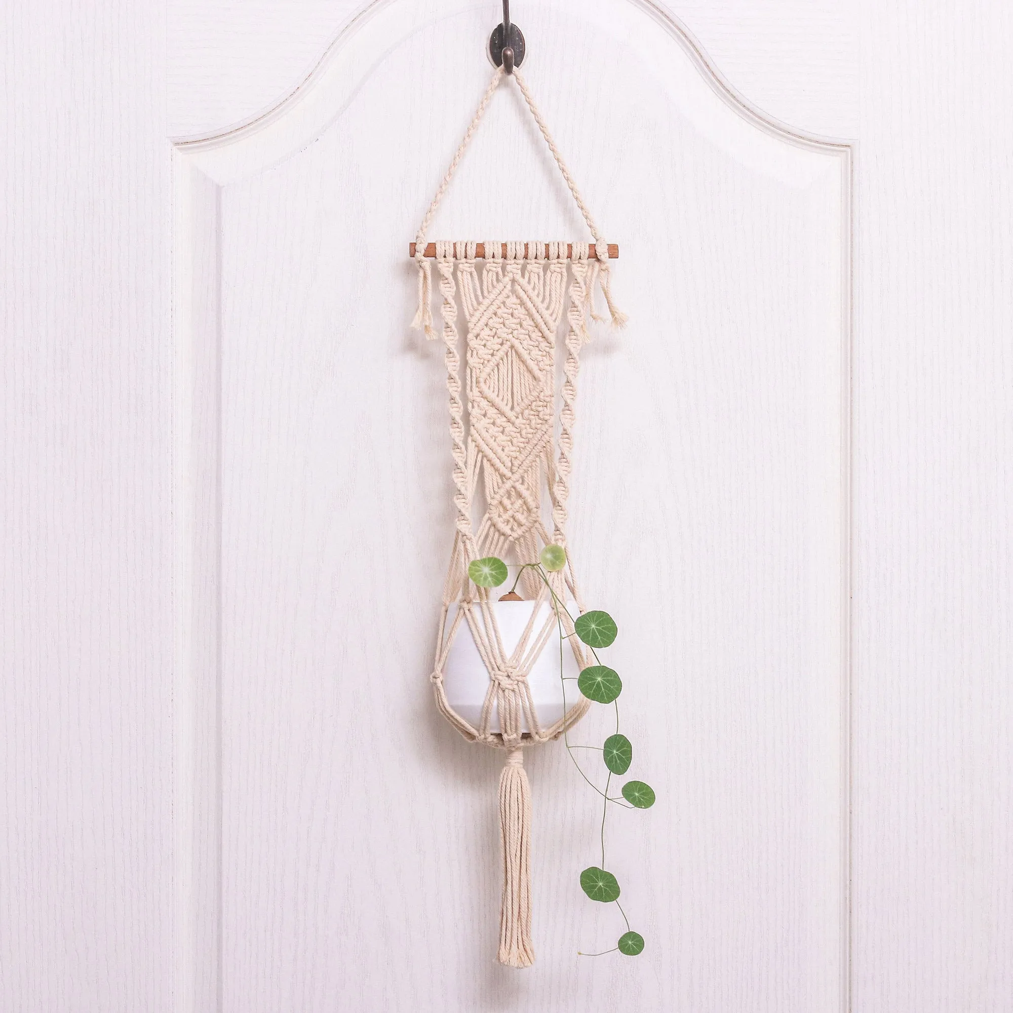 Thai Artisan Crafted Cotton Macrame Indoor Flower Pot Hanger - Bountiful Harmony | NOVICA